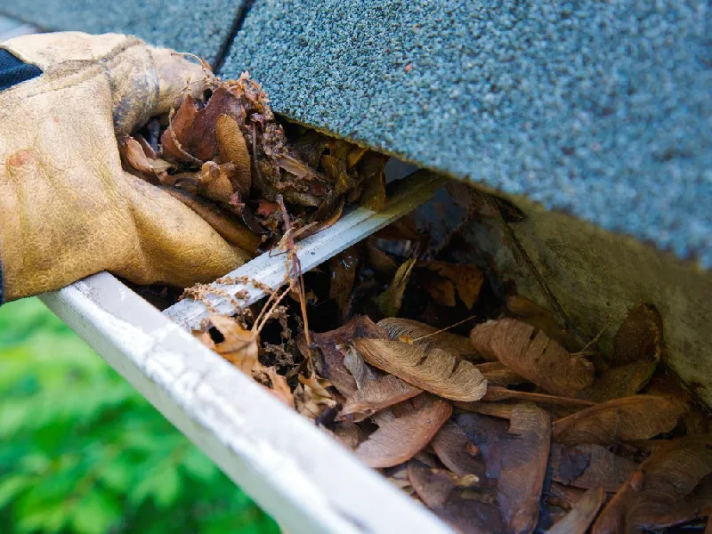Gutter Cleaning